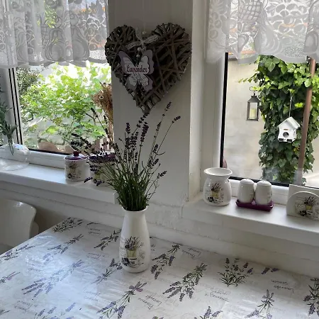 Dom wakacyjny Garden House *
