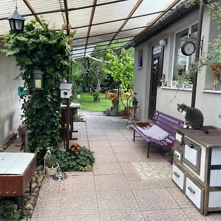 Dom wakacyjny Garden House